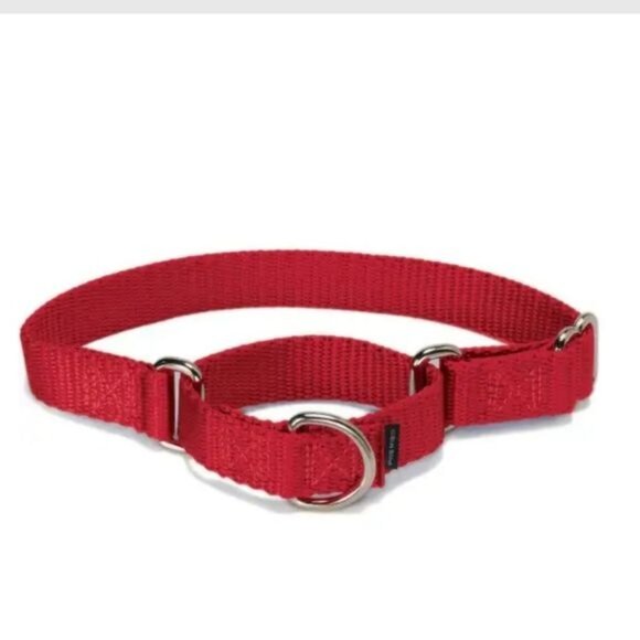 blueberry pet Safety Training Dog Collar - Picture 3 of 4